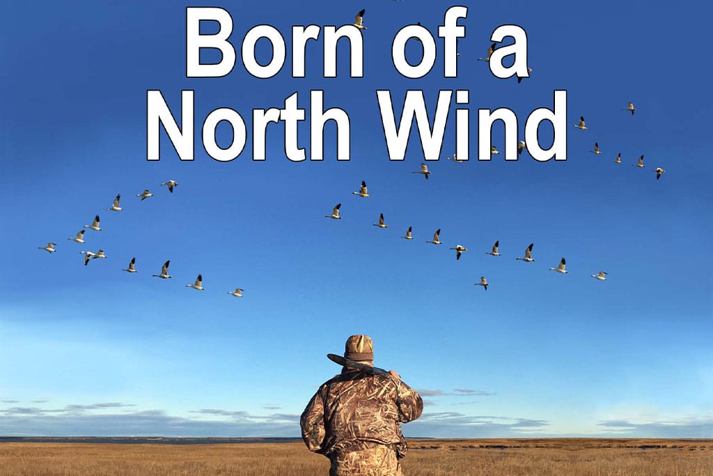 Short Story Printing: Spotlight on Born of a North Wind