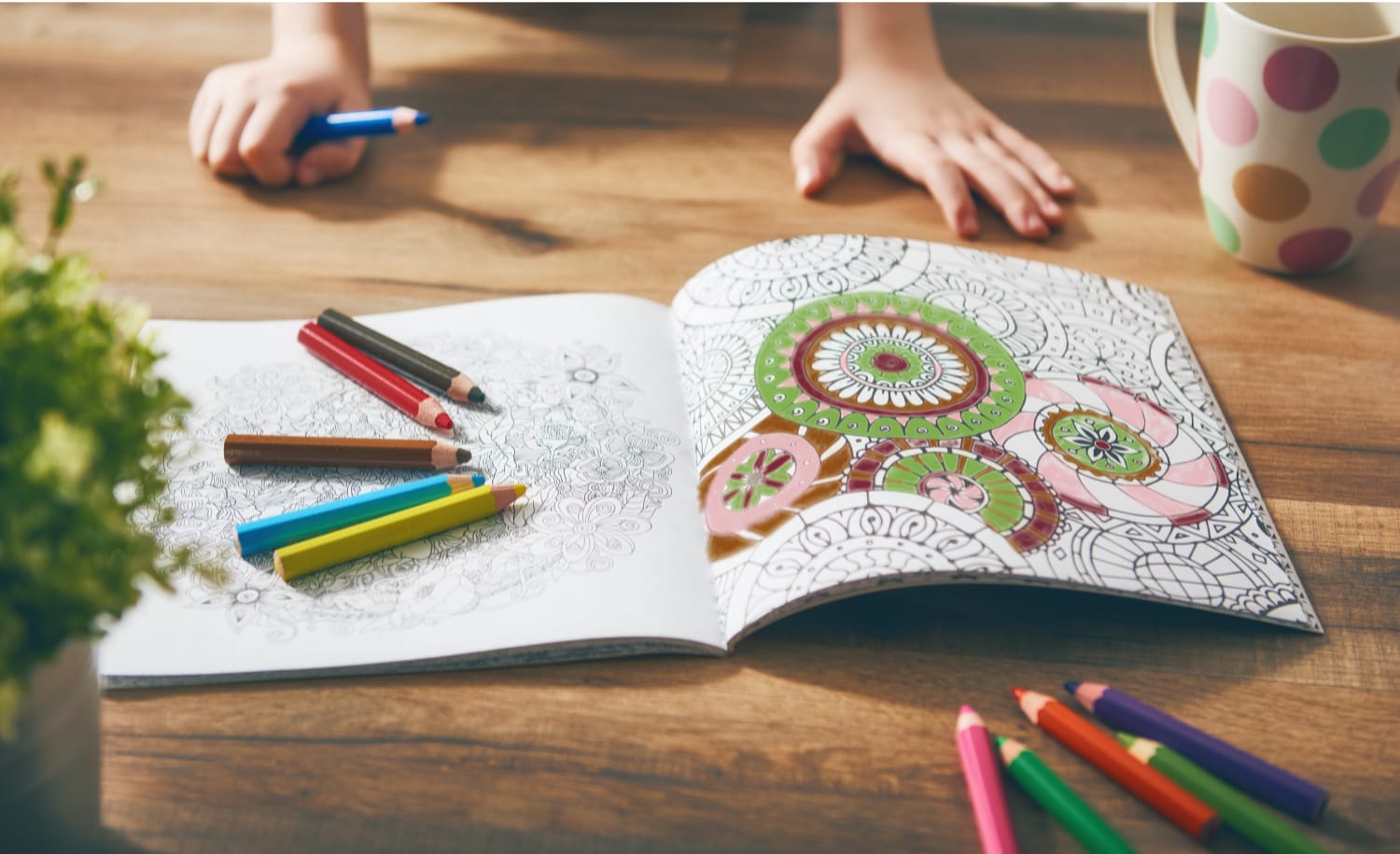 coloring book