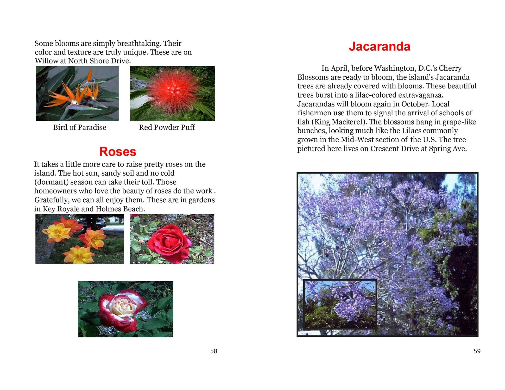 perfect bound travel book