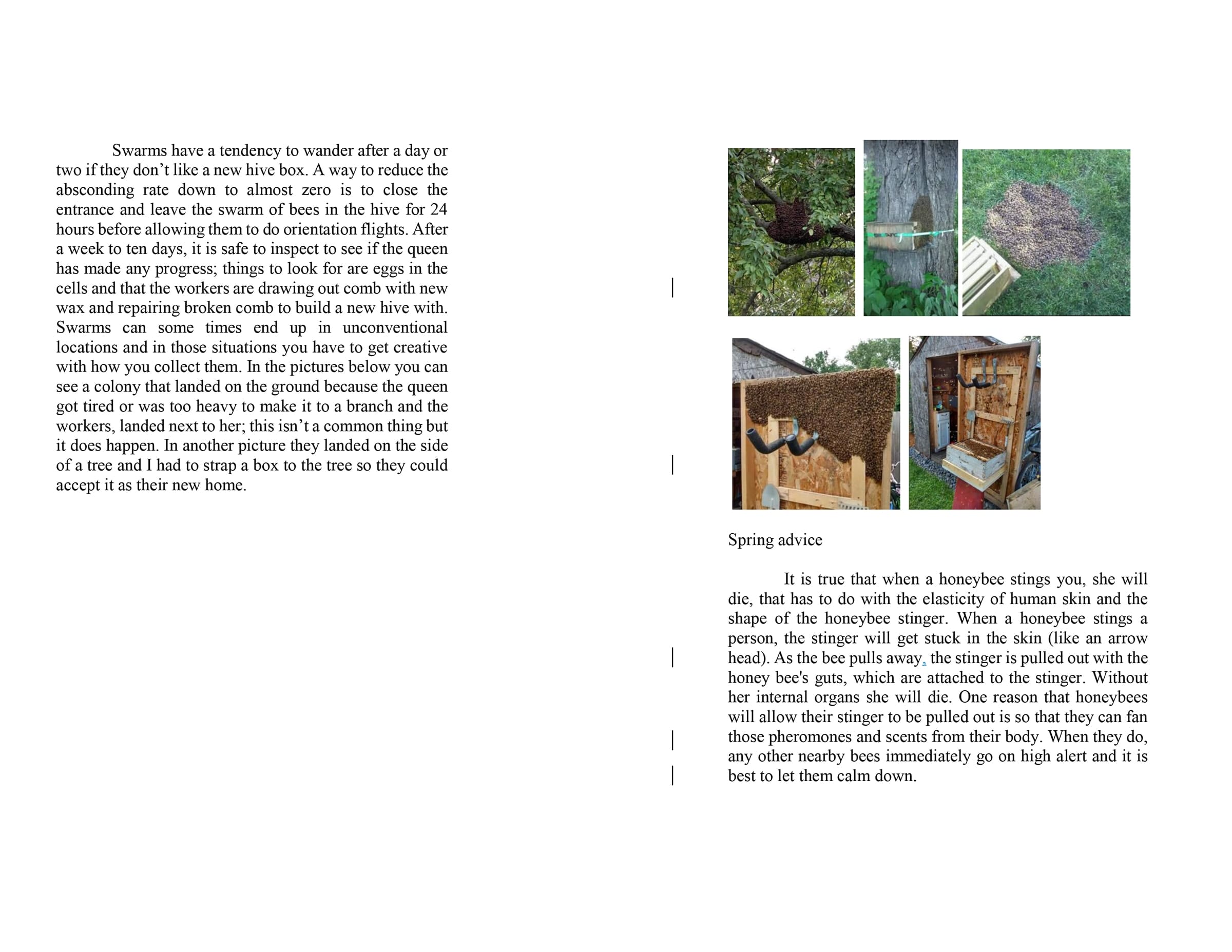 instruction book sample